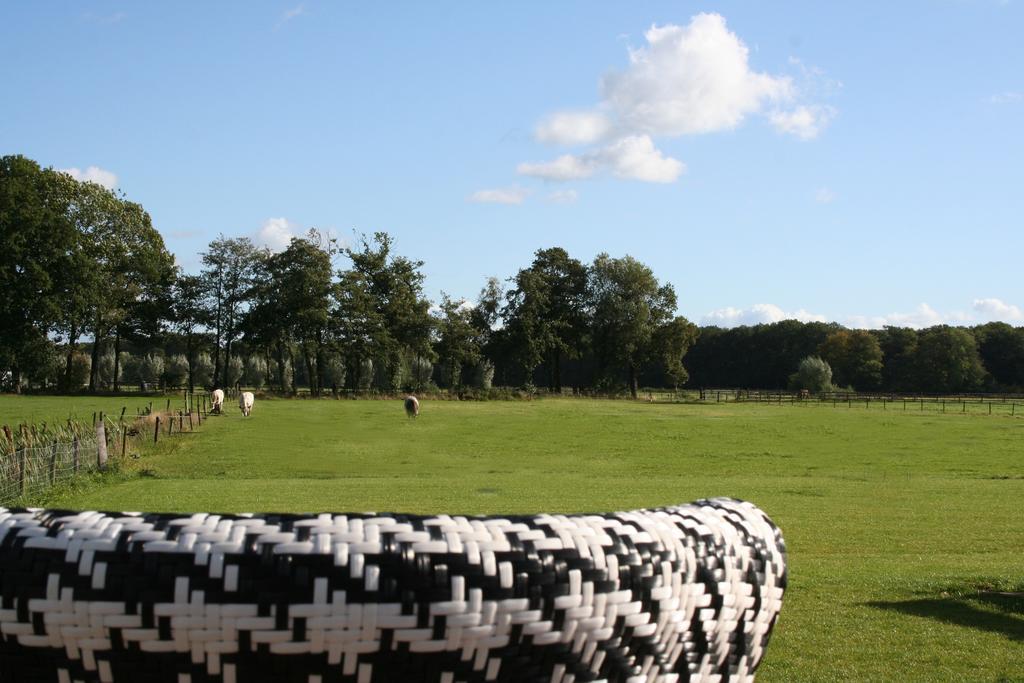 Zwaluwhof Bed and Breakfast Dalfsen Exteriör bild